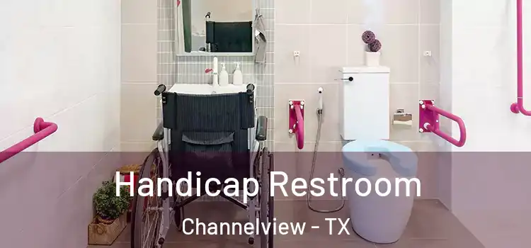 Handicap Restroom Channelview - TX